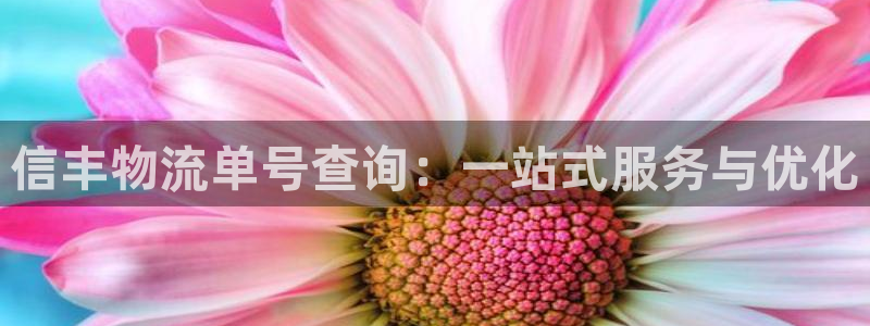 南宫超凡国际官网：信丰物流单号查询：