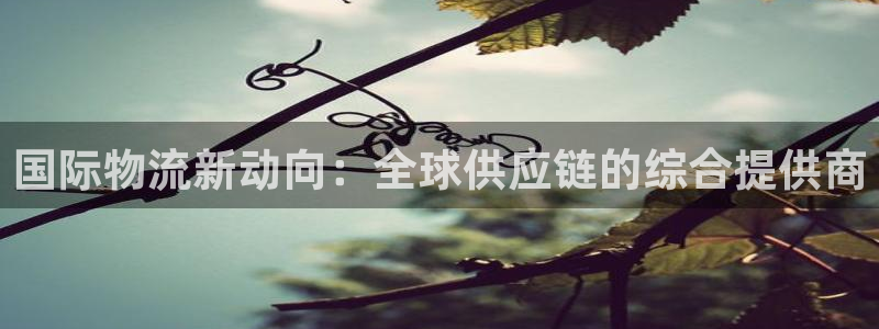 超凡国际百度百科：国际物流新动向：全