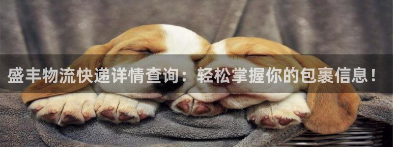 超凡国际加拿大开奖：盛丰物流快递详情