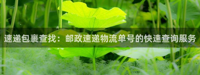 超凡国际充值不处理会怎么样：速递包裹