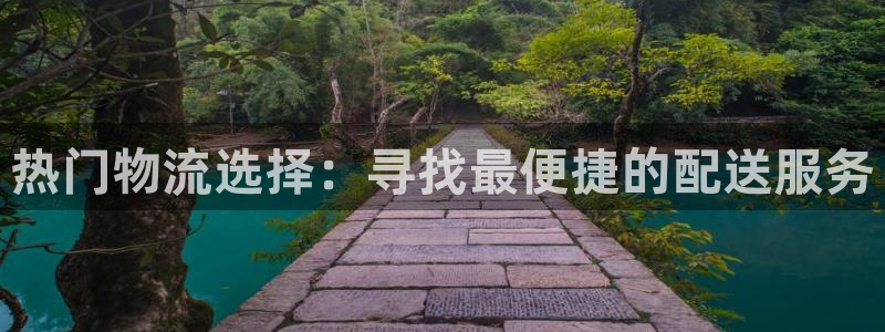 超凡国际官网版所有版本：热门物流选择