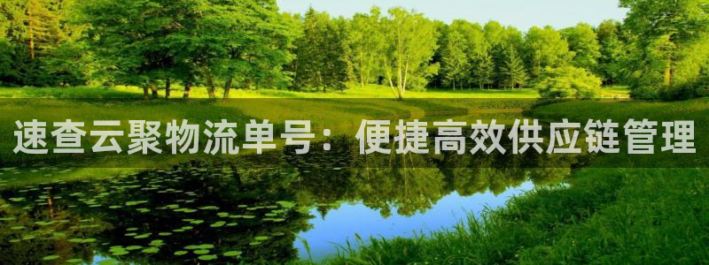 超凡国际自行车图片：速查云聚物流单号