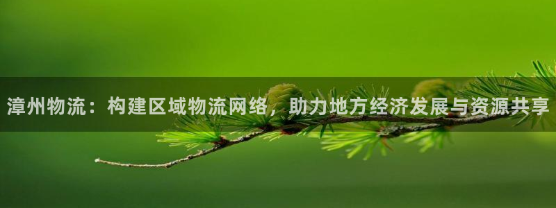 超凡国际哪个最赚钱：漳州物流：构建区
