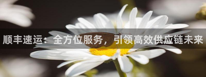 超凡国际登录不上咋回事：顺丰速运：全