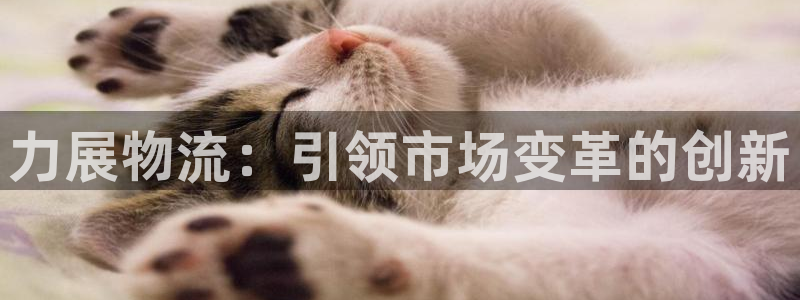 超凡国际娱乐官网网页下载：力展物流：