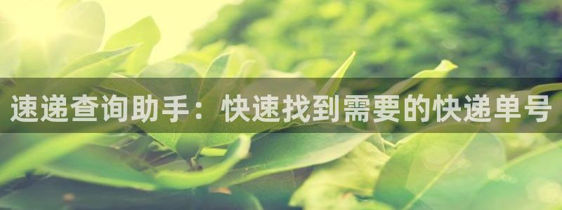 超凡国际麻将胡了：速递查询助手：快速