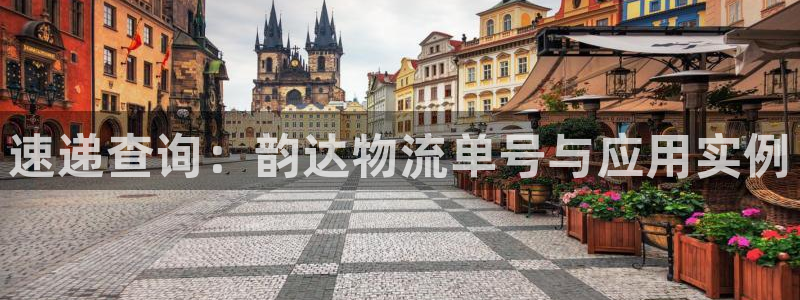 超凡国际加拿大是什么意思