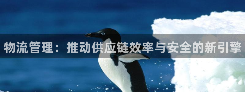 超凡国际充值方式：物流管理：推动供应