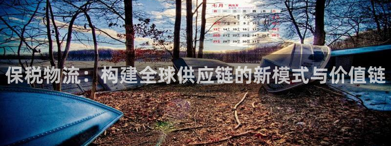 超凡国际推广链接是多少：保税物流：构