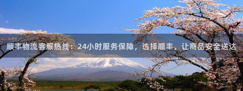 超凡国际起来的符号：顺丰物流客服热线