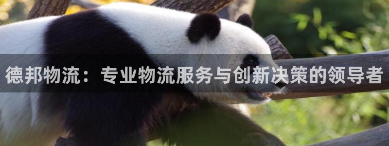 超凡国际加拿大在线预测：德邦物流：专