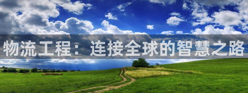 超凡国际加拿大下载：物流工程：连接全