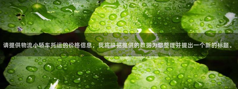 超凡国际注册上限是啥意思：请提供物流