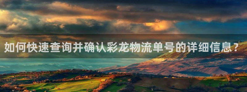 超凡国际代理落网：如何快速查询并确认