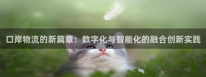 超凡国际连输10天：口岸物流的新篇章