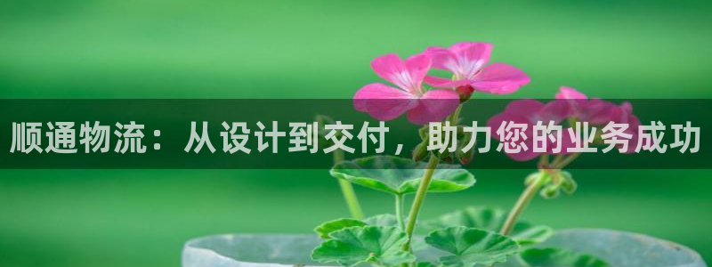 超凡国际p图上分下款通道：顺通物流：