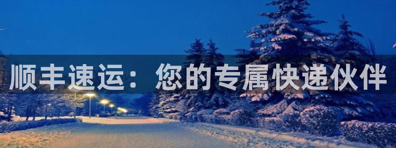 超凡国际选28ng官网：顺丰速运：您的专属快递伙伴