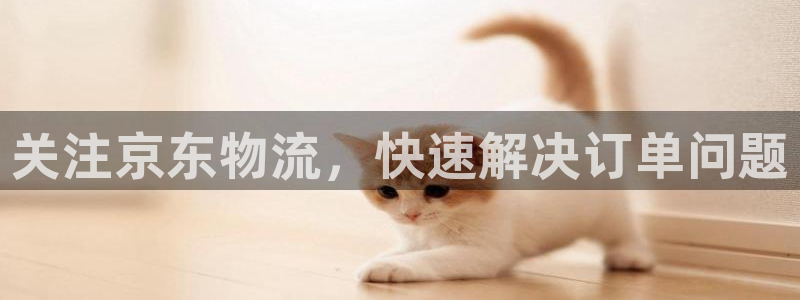 超凡国际官网版下载